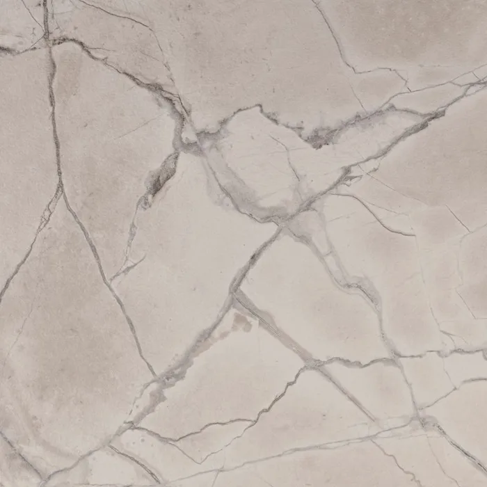 Fossil